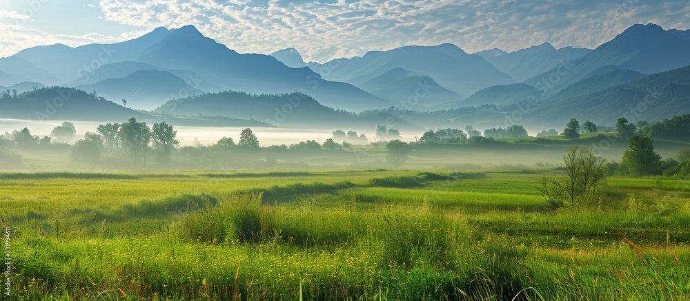 Poster Fertile field near mountains with early morning mist.