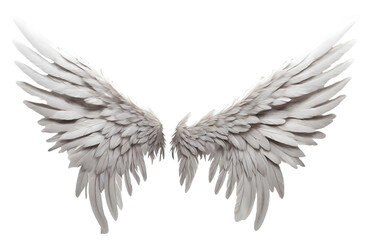 Angel wings isolated on the png background, fantasy feather wings for fashion design, cosplay and dress up party.