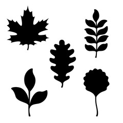 Leaves black silhouettes. Vector autumn or spring illustrations. Isolated on white background. Flat style. Simple plant outlines for paper or laser cutting and printing on any surface. - obrazy, fototapety, plakaty