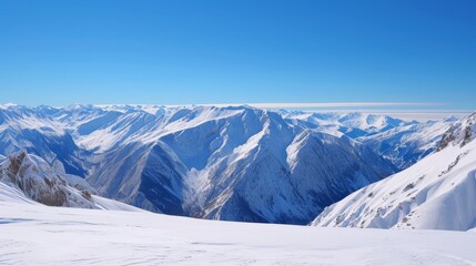 Silhouette of a single tree against a mesmerizing star-filled night sky.