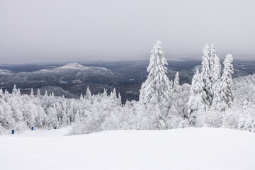 Mont Tremblant Winter Wonderland Majesty: A Sweeping View of Snow-Laden Pines and Ski Trails,...