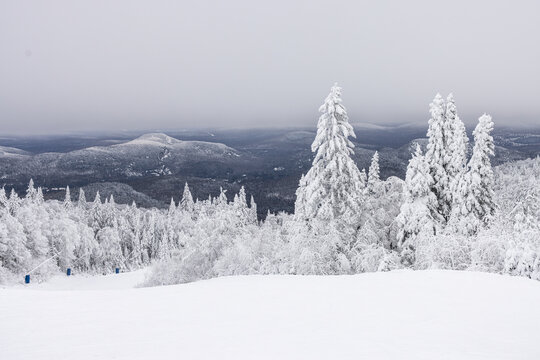 Mont Tremblant Winter Wonderland Majesty: A Sweeping View of Snow-Laden Pines and Ski Trails, Offering a Perfect Winter Escape. Laurentians, Quebec, Canada