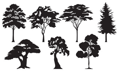 Collection of silhouettes large trees. Silhouette of forest trees