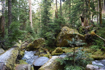 Mount Rainier, Seattle, United States