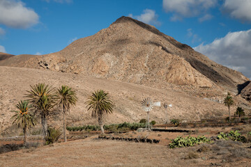 Fuerteventura desert landscape - 732001097