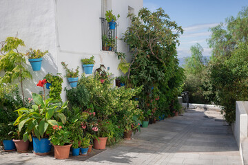 Spain, Mijuas, narrow street with flowers in pots
