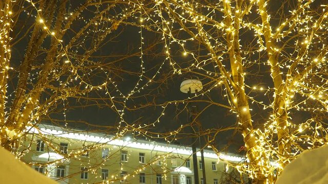 New Year or Christmas city night street. Tree lighting design. Winding golden yellow garlands of the trunk and branches. LED Christmas decorations. Garlands - spider and clip light. Electric lighting.