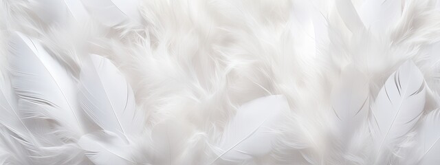 Closeup, white and feathers background for peace, religion and hope. feather for creative banner. Soft touch. Products from feathers - obrazy, fototapety, plakaty
