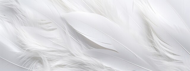 Obraz premium Closeup, white and feathers background for peace, religion and hope. feather for creative banner. Soft touch. Products from feathers