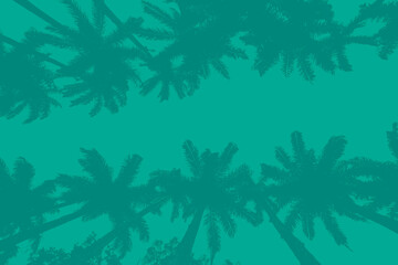 Coconut palm tree on sky background. Monochrome composition ideal for backdrop.