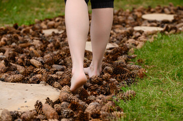 Woman walks barefoot along a massage tactile eco-path made of pine cones. Barefoot path with...