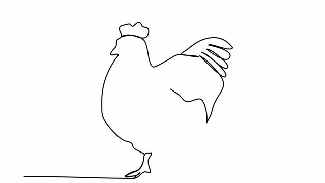 Hen, one line drawing animation. Video clip with alpha channel.