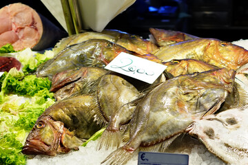 Meeresfrüchte auf dem Mercato Rialto in Venedig