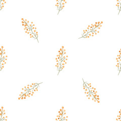 Watercolor mimosa branch seamless pattern on white background