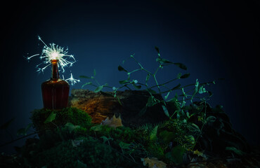 bottle with potion in night forest