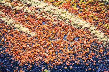 Macro abstract background in autumn orange and yellows.