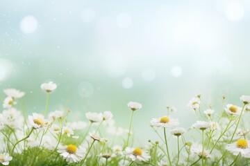 Beautiful floral spring banner