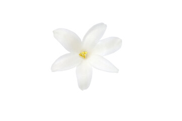 Fototapeta na wymiar Small white hyacinth flower isolated on white background close-up. Spring flowers.