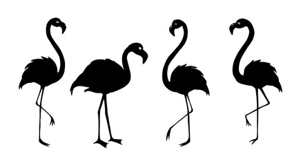 Set of Exotic pink flamingo birds silhouettes. Flamingos standing in different poses. Birds clipart, icons, symbol, logo. Outline monochrome vector illustration isolated on white background.