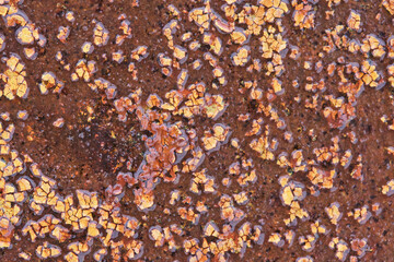 Background of old rusty painted metal.