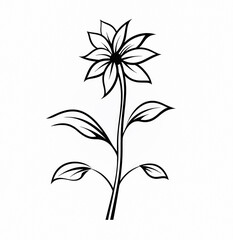 Minimalistic floral botanical line art featuring bouquets of wild and garden plants