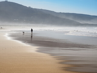 Playa con una persona con su perro paseando y disfrutando del sol