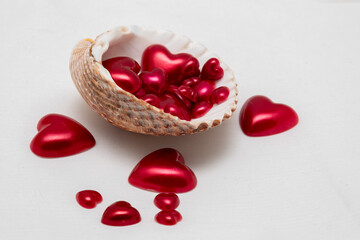 Hearts in a seashell