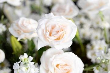 bouquet of white roses