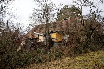An old demolished brick cottage overgrown with bushes and trees. An unused ruined house.