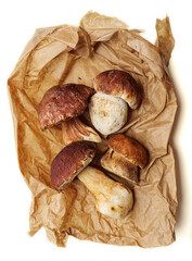 A selection of different types of Boletus Mushrooms on a paper bag. - 732027233