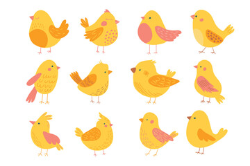 Set of different cute yellow birds. Spring birds