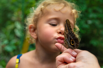 A child holds a beautiful butterfly. Selective focus.