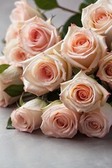 Bouquet of pink roses on a white background, close up