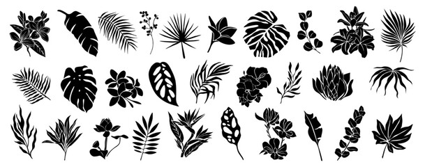 Set of black silhouettes of tropical leaves, flowers. Hand drawn elegant exotic eucalyptus, monstera leaves, lotus, birth of paradise, magnolia, hibiscus flowers. Trendy botanical vector.  - obrazy, fototapety, plakaty