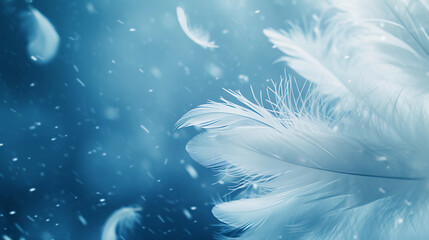 a blue and white background with white feathers