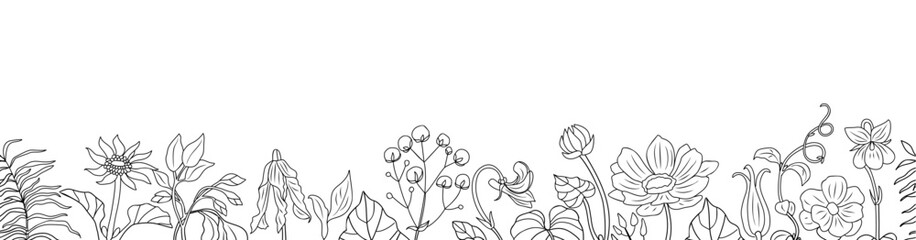 Seamless border with spring blooming meadow flowers and herbs. Horizontal banner, pattern, floral overlay backdrop. Botanical monochrome ink sketch style hand drawn vector illustration isolated.