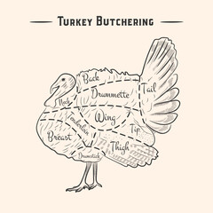 Home turkey carving diagrams. Poster for the meat market. Vector in vintage style