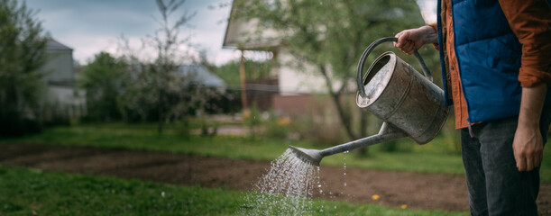 A young male farmer in work clothes is watering plants from a watering can in his garden.