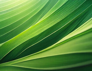Abstract organic green lines as wallpaper background illustration