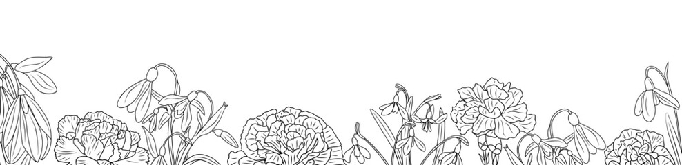 Carnation and snowdrop flowers line art drawing border. Horizontal banner, floral overlay backdrop. Botanical monochrome ink sketch style hand drawn vector illustration isolated. 