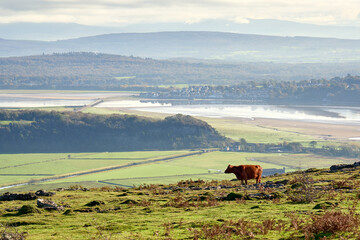 Arnside and the river Kent estuary viewed from Hampsfell.