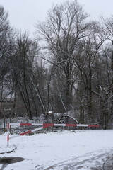 Some trees in the suburbs under the snow. Krakow, Poland - November 28, 2023.