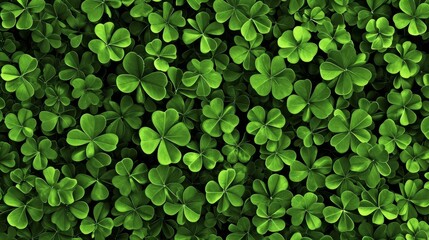 Green clover leaves background. Top view