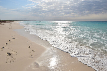 Plage paradisiaque et eau turquoise