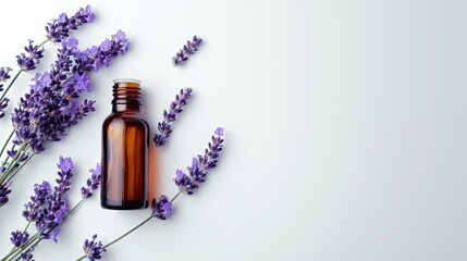 Fototapeta premium Aromatherapy concept: Lavender essential oil in a glass bottle with pipette. Mockup on a white background with copy space. Serum