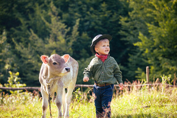 Little Toddler Cowboy Kid with Little Cute Calf the Cow - 732043608