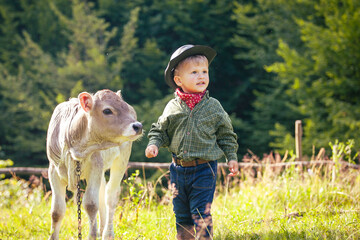 Little Toddler Cowboy Kid with Little Cute Calf the Cow - 732043618