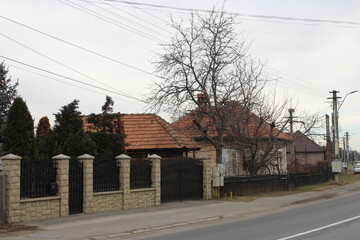 Fototapeta na wymiar A street with a tree and buildings