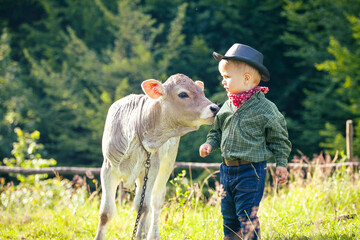 Little Toddler Cowboy Kid with Little Cute Calf the Cow - 732043639