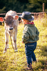 Little Toddler Cowboy Kid with Little Cute Calf the Cow - 732043684